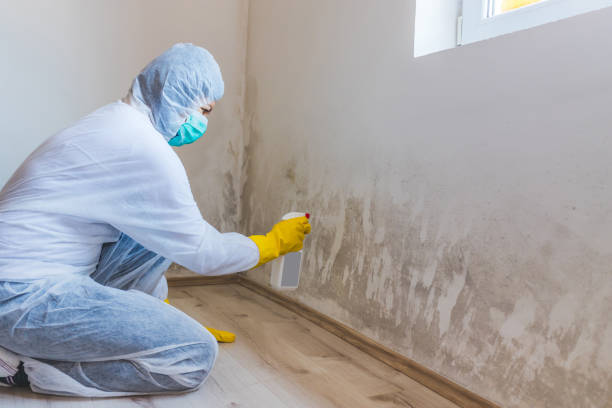 Mold Remediation specialist working in Grantsville